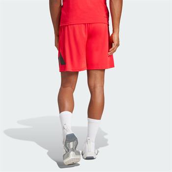 adidas Training Essentials Logo Erkek Şort