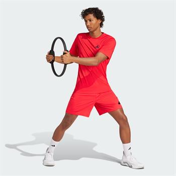 adidas Training Essentials Logo Erkek Şort