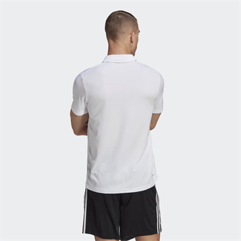 adidas Training Essentials Training Polo Erkek Tişört