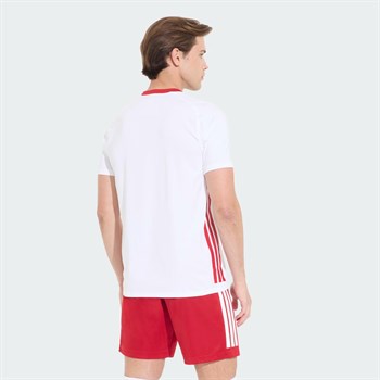 adidas Türkiye Voleybol Milli Takım Erkek Forma