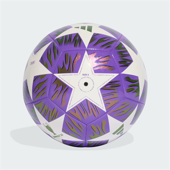 adidas UEFA Champions League Training Futbol Topu