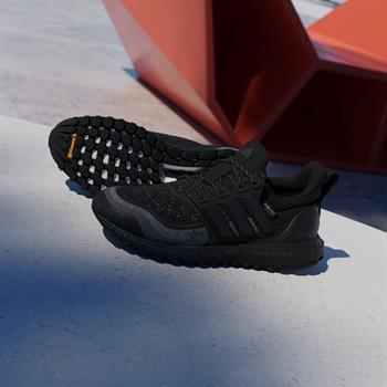 adidas Ultraboost 1.0 ATR Erkek Koşu Ayakkabısı