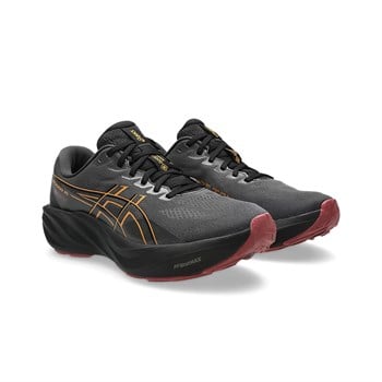 Asics GT-2000 15 GTX Erkek Koşu Ayakkabısı