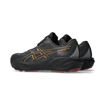 Asics GT-2000 15 GTX Erkek Koşu Ayakkabısı