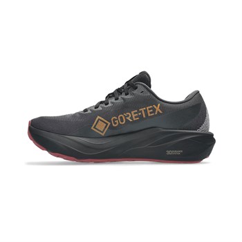 Asics GT-2000 15 GTX Erkek Koşu Ayakkabısı