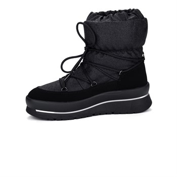 Buckhead G Fairy Wp Günlük Bot