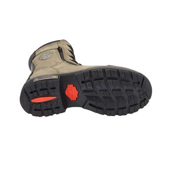 Harley Davidson Riddick Erkek Bot