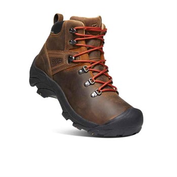 Keen Pyrenees Erkek Bot