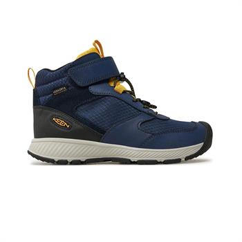 Keen Skua Wp Kadın Bot