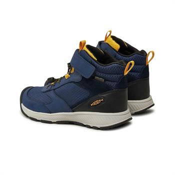 Keen Skua Wp Kadın Bot