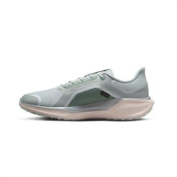 Nike Air ZM Pegasus 41 GTX Erkek Outdoor Ayakkabı