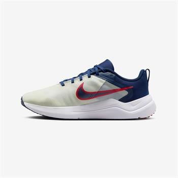 Nike Downshifter 12 Erkek Koşu Ayakkabısı