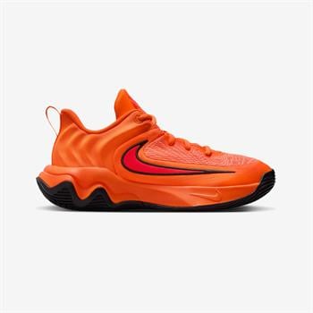Nike Giannis Immortality 4 Basketbol Ayakkabısı