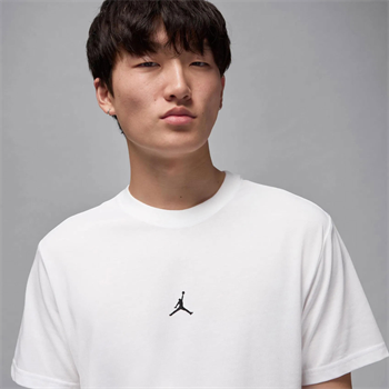 Nike Jordan Jumpman Dri-FIT Sport Erkek Tişört