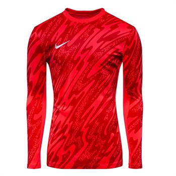 Nike M Nk Df Gardien V Gk Jsy Ls Erkek Kaleci Forması
