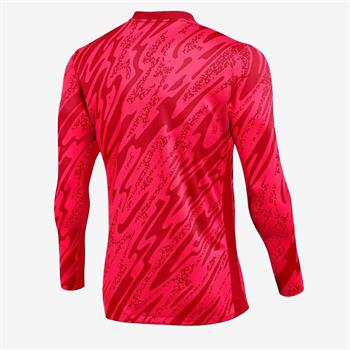 Nike M Nk Df Gardien V Gk Jsy Ls Erkek Kaleci Forması