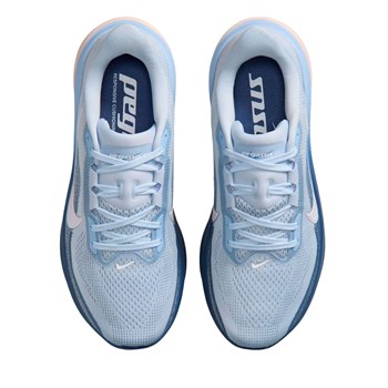 Nike Pegasus 42 Kadın Koşu Ayakkabısı