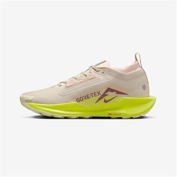 Nike Pegasus Trail 5 Gore-Tex Kadın Koşu Ayakkabısı