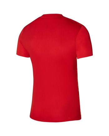 Nike Precision VI Erkek Forma