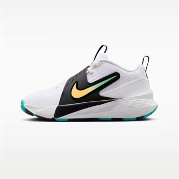 Nike Team Hustle D 12 Basketbol Ayakkabısı