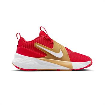 Nike Team Hustle D 12 Basketbol Ayakkabısı