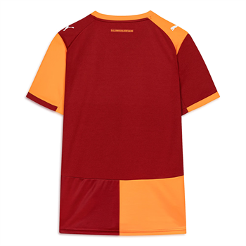 Puma Galatasaray 25/26 Erkek Forma