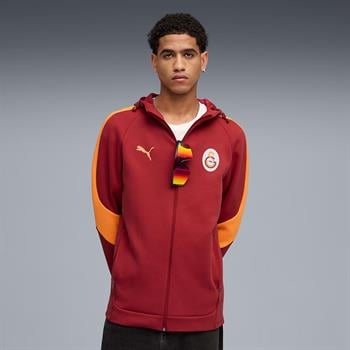 Puma Galatasaray Evostripe Erkek Sweatshirt