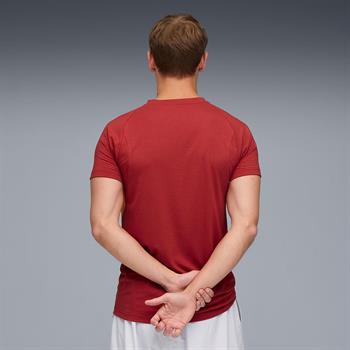 Puma Galatasaray Evostripe Erkek Tişört