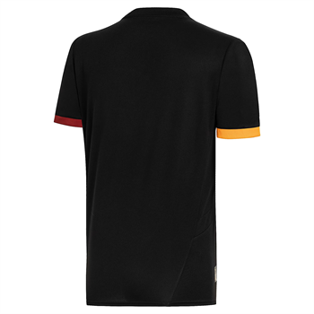 Puma Galatasaray S.K. 24/25 Erkek Forma