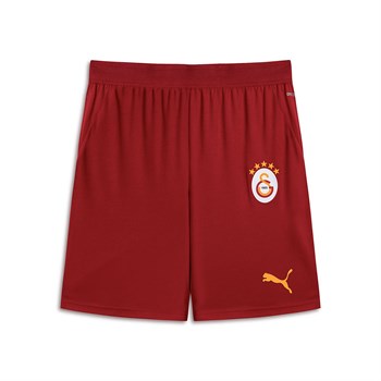 Puma Galatasaray S.K. 26/27 Erkek Şort