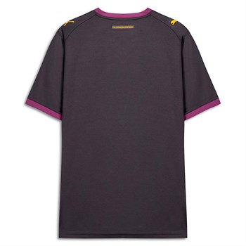 Puma Galatasaray S.K. 26/27 Erkek Forma