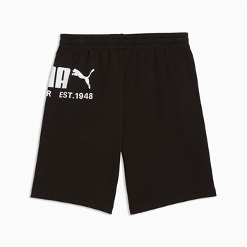 Puma Sport Graphic Erkek Şort