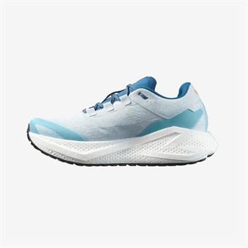 Salomon Aero Glide 3 GRVL Erkek Koşu Ayakkabısı
