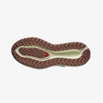Salomon Aero Glide 3 GRVL Erkek Koşu Ayakkabısı
