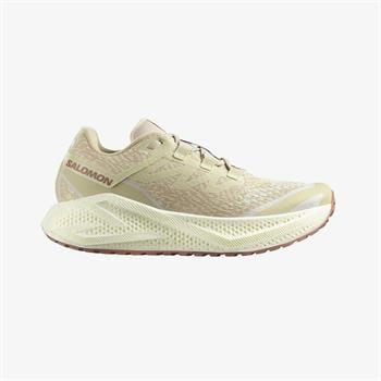 Salomon Aero Glide 3 GRVL Erkek Koşu Ayakkabısı