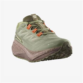 Salomon Aero Glide 3 Grvl Gtx Gore-Tex Erkek Koşu Ayakkabısı