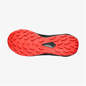 Salomon Alphaglide Erkek Koşu Ayakkabısı