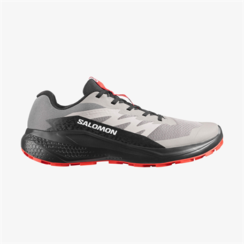 Salomon Alphaglide Erkek Koşu Ayakkabısı