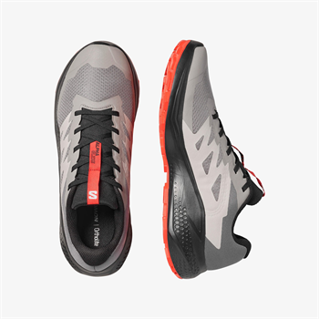 Salomon Alphaglide Erkek Koşu Ayakkabısı
