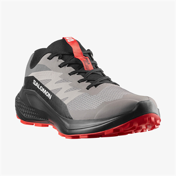 Salomon Alphaglide Erkek Koşu Ayakkabısı