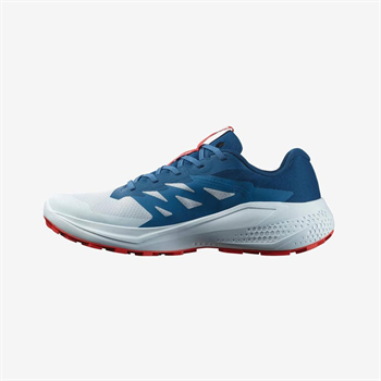 Salomon Alphaglide Erkek Koşu Ayakkabısı