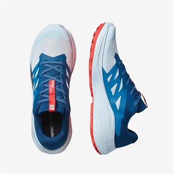 Salomon Alphaglide Erkek Koşu Ayakkabısı