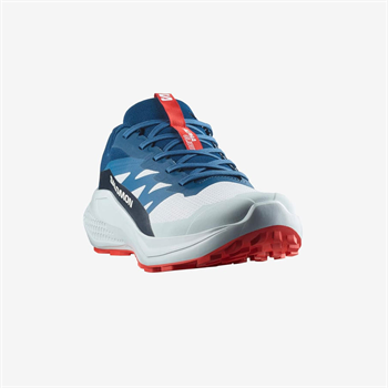 Salomon Alphaglide Erkek Koşu Ayakkabısı