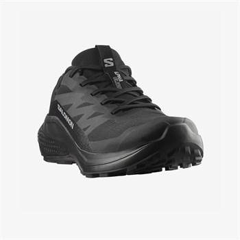 Salomon Alphaglide Gore-Tex Erkek Koşu Ayakkabısı