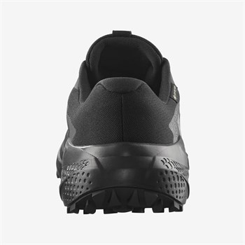 Salomon Alphaglide Gore-Tex Erkek Koşu Ayakkabısı
