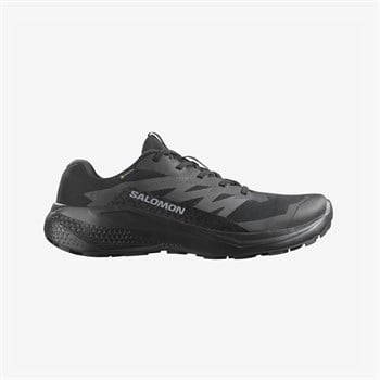 Salomon Alphaglide Gore-Tex Erkek Koşu Ayakkabısı