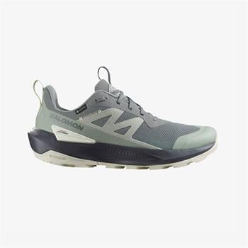 Salomon Elixir Activ Gore-Tex Erkek Outdoor Ayakkabı