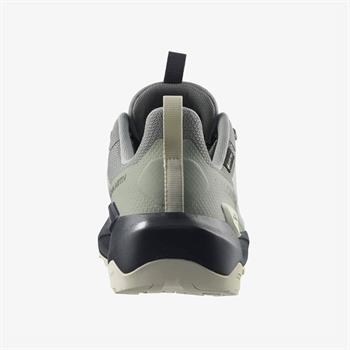 Salomon Elixir Activ Gore-Tex Erkek Outdoor Ayakkabı
