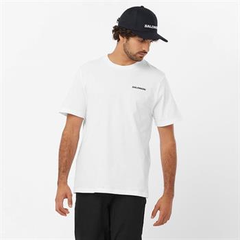 Salomon Graphic Performance Erkek Tişört
