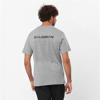 Salomon Graphic Performance Erkek Tişört